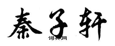 胡问遂秦子轩行书个性签名怎么写