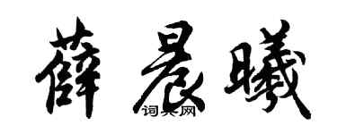 胡问遂薛晨曦行书个性签名怎么写