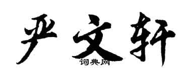 胡问遂严文轩行书个性签名怎么写