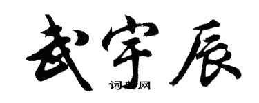 胡问遂武宇辰行书个性签名怎么写