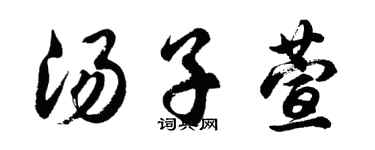 胡问遂汤子萱行书个性签名怎么写