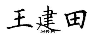 丁谦王建田楷书个性签名怎么写