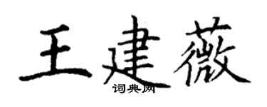 丁谦王建薇楷书个性签名怎么写