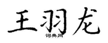 丁谦王羽龙楷书个性签名怎么写