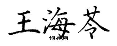 丁谦王海苓楷书个性签名怎么写