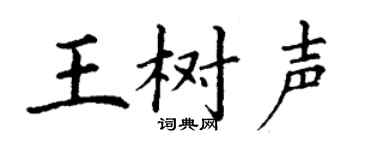 丁谦王树声楷书个性签名怎么写