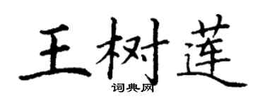 丁谦王树莲楷书个性签名怎么写