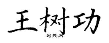 丁谦王树功楷书个性签名怎么写