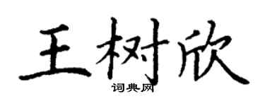 丁谦王树欣楷书个性签名怎么写