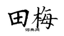 丁谦田梅楷书个性签名怎么写