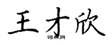 丁谦王才欣楷书个性签名怎么写