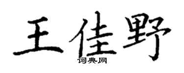 丁谦王佳野楷书个性签名怎么写