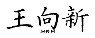 丁谦王向新楷书个性签名怎么写