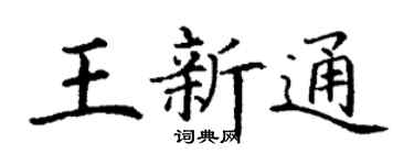 丁谦王新通楷书个性签名怎么写