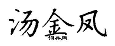 丁谦汤金凤楷书个性签名怎么写