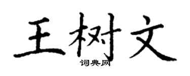 丁谦王树文楷书个性签名怎么写