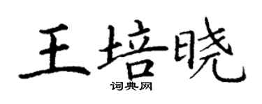 丁谦王培晓楷书个性签名怎么写