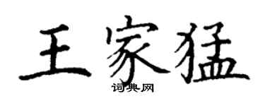 丁谦王家猛楷书个性签名怎么写