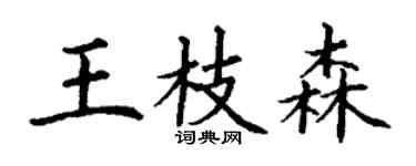 丁谦王枝森楷书个性签名怎么写