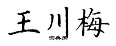 丁谦王川梅楷书个性签名怎么写