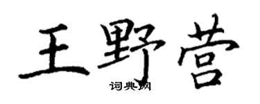 丁谦王野营楷书个性签名怎么写