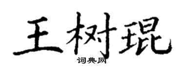 丁谦王树琨楷书个性签名怎么写