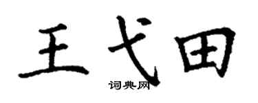 丁谦王弋田楷书个性签名怎么写