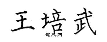 何伯昌王培武楷书个性签名怎么写