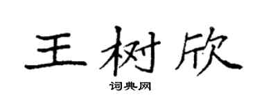 袁强王树欣楷书个性签名怎么写