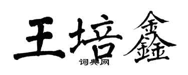 翁闿运王培鑫楷书个性签名怎么写