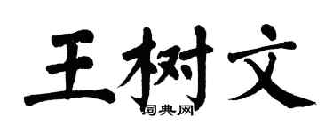 翁闿运王树文楷书个性签名怎么写