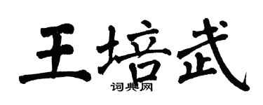 翁闿运王培武楷书个性签名怎么写