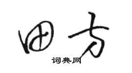 骆恒光田方草书个性签名怎么写