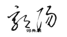骆恒光郭阳草书个性签名怎么写