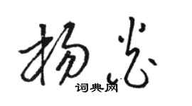 骆恒光杨炎草书个性签名怎么写