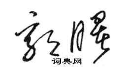 骆恒光郭曙草书个性签名怎么写