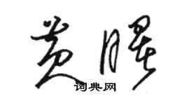 骆恒光黄曙草书个性签名怎么写