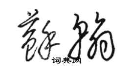 骆恒光苏翰草书个性签名怎么写