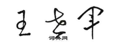 骆恒光王世军草书个性签名怎么写