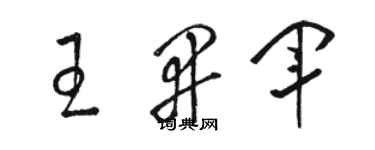 骆恒光王开军草书个性签名怎么写
