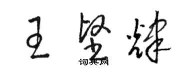 骆恒光王坚辉草书个性签名怎么写