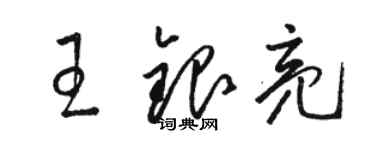 骆恒光王银亮草书个性签名怎么写