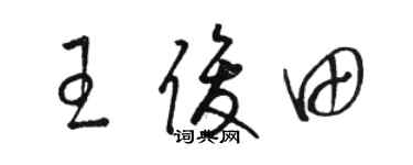 骆恒光王俊田草书个性签名怎么写