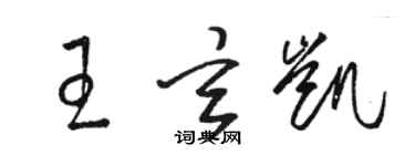 骆恒光王玄凯草书个性签名怎么写