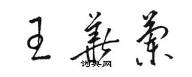 骆恒光王华兰草书个性签名怎么写