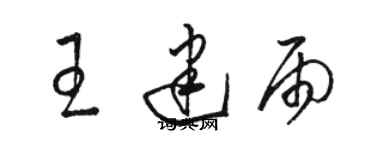 骆恒光王建雨草书个性签名怎么写