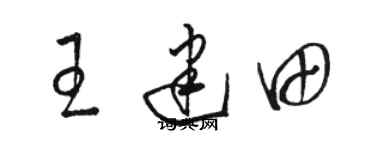 骆恒光王建田草书个性签名怎么写