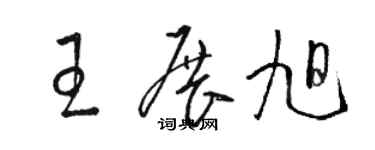 骆恒光王展旭草书个性签名怎么写