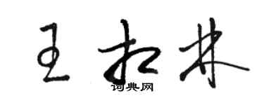 骆恒光王相林草书个性签名怎么写