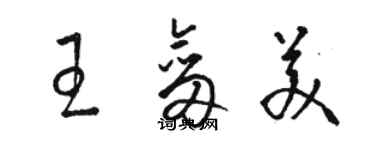 骆恒光王剑美草书个性签名怎么写